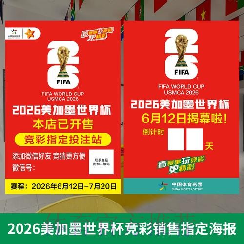 世界杯投注全站指南：全面深度解读